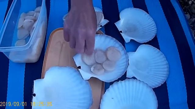 Как правильно почистить и приготовить морской гребешок смотреть онлайн