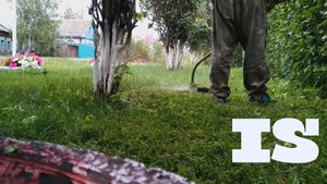 Ухаживаю за лужайкой у дома. I take care of the lawn at the house.