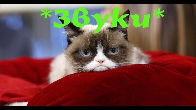 ГДЕ СКАЧАТЬ ЗВУКИ КАК У EEONEGUY? ОТВЕТ! смотреть онлайн