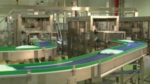 Pattyn. Упаковка замороженных хлебобулочных и кондитерских изделий