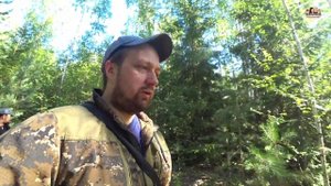 ВЛОГ! Первая вылазка за грибами в этом году?/Поехали с Аллочкой за грибами в лес?/Поход за грибами!