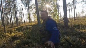 Национальный Водлозерский парк. Рыбалка в Карелии. Отдых и путешествие.