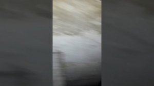 Запуск мотора УМЗ 4216 после капитального ремонта