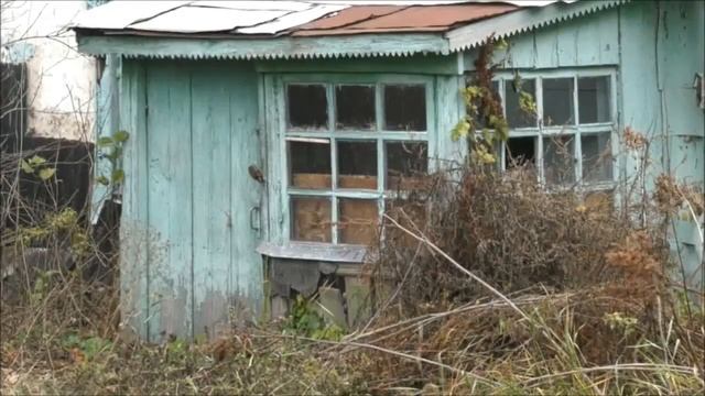 Село Новая Ольшанка Нижнедевицкого района смотреть онлайн