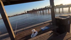 Suisun, California Striper Fishing : Pile Worms And Mosquitoes On The Menu