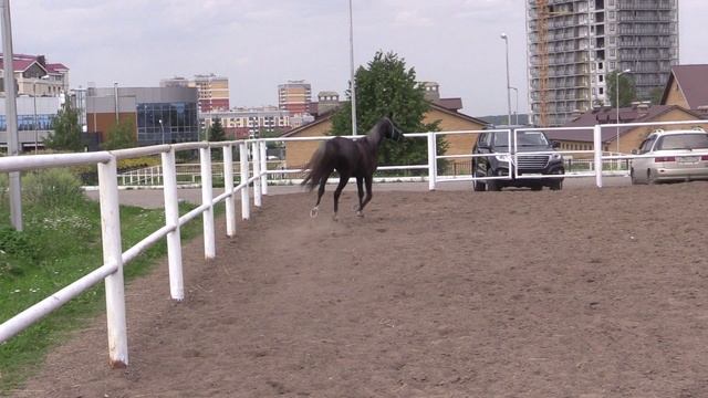 МУЛАТКА