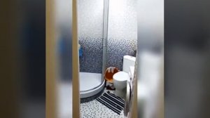 Продаётся 1-комнатная квартира по ул. Карбышева, 105