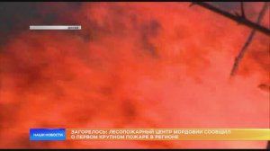 Загорелось: лесопожарный центр Мордовии сообщил о первом крупном пожаре в регионе