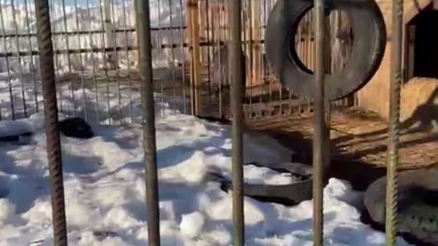 Потапка