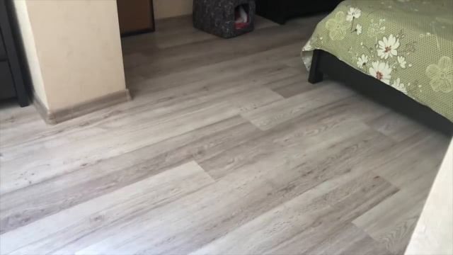 Собака зовет папу на завтрак! смотреть онлайн