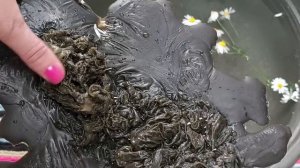 Глубокая чистка работы,рабочего места, кровавых жертвоприношений,кладбищенской нечисти,тотемов враг