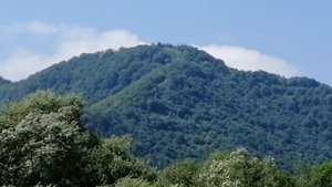 Река Стрый, ниже по течению посёлка Рыбник, Львовская область