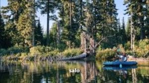 salo