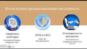 Какую отчетность нужно сдавать за сотрудников ИП в налоговую и пенсионный фонд