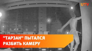 В Башкирии «Тарзан» пытался разбить камеру наблюдения