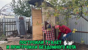Построили туалет и пристроили бездомного кота