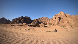 Шарм-эль-шейх, Сафари, 2024