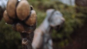 Очень красивый стих про собаку "Собачья душа"