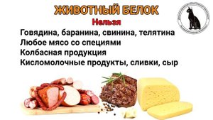 Подкормки для улиток ахатин (кальций, растительный и животный белок)