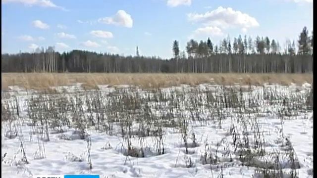 Уголовное дело в отношении экс-главы Пряжинского р-на прекращено смотреть онлайн