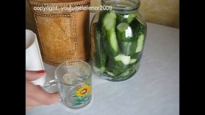 Малосольные огурцы. Холодный способ.