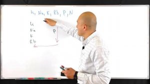 Как изменяется атомный радиус в данном ряду элементов? Li; Na; К; Rb; Р; N