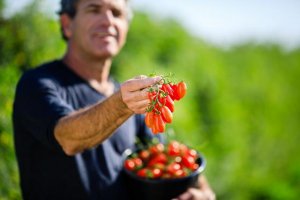 Слушаем. Изучаем. Создаем.