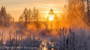 “Ты уборщица, а не жена, знай своё место “ - усмехнулся директор и уволил беременную сироту Машу...