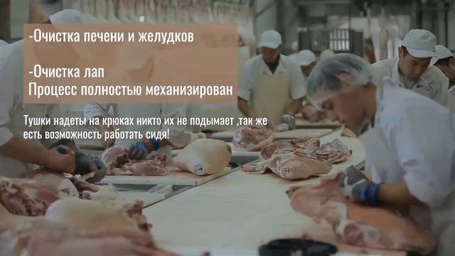 Бесплатные вакансии в ЕС смотреть онлайн