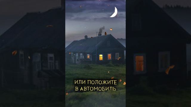 29 ОКТЯБРЯ 2023 ДЕНЬ АВТОМОБИЛИСТА