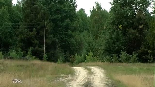 В Томской области нет действующих лесных пожаров смотреть онлайн