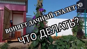 #КАК ИЗБАВИТЬСЯ ОТ ЗАПАХА В ДАЧНОМ ТУАЛЕТЕ#