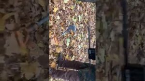 тест глубинника ТМ-808