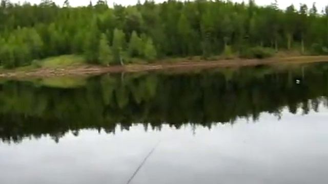 Чернышевский Первый залив Водохранилища (моря)