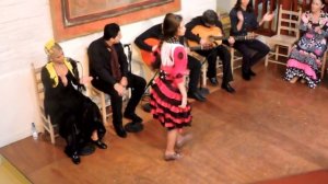 Flamenco Show | El Tablao de Carmen | B A R C E L O N A