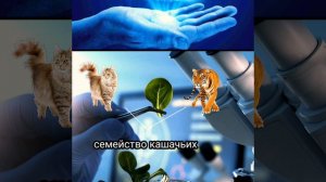 какие научные методы исследования используют в биологии