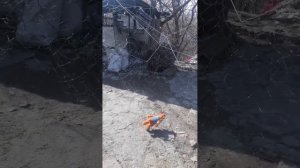 сеть на толстолоба косорама 3 полурамника звоните 095 460 64 29 на заказ