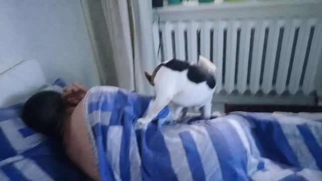 мотоцикл