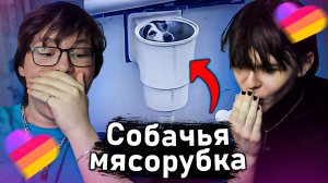 Кринж Лайки: Бедная собачка...