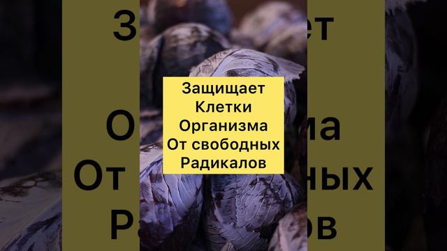 Чем Полезна Краснокочанная Капуста?