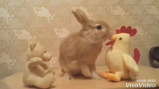 Кролик Мартин.Часть 1.😊🐇😊 смотреть онлайн