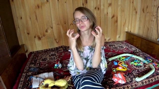 Чем Занять Ребенка в Машине в Полгода (6 месяцев). От 6 месяцев до 1 года