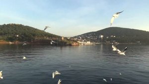 Турция. Мраморное море. Принцевы острова (Адалары)