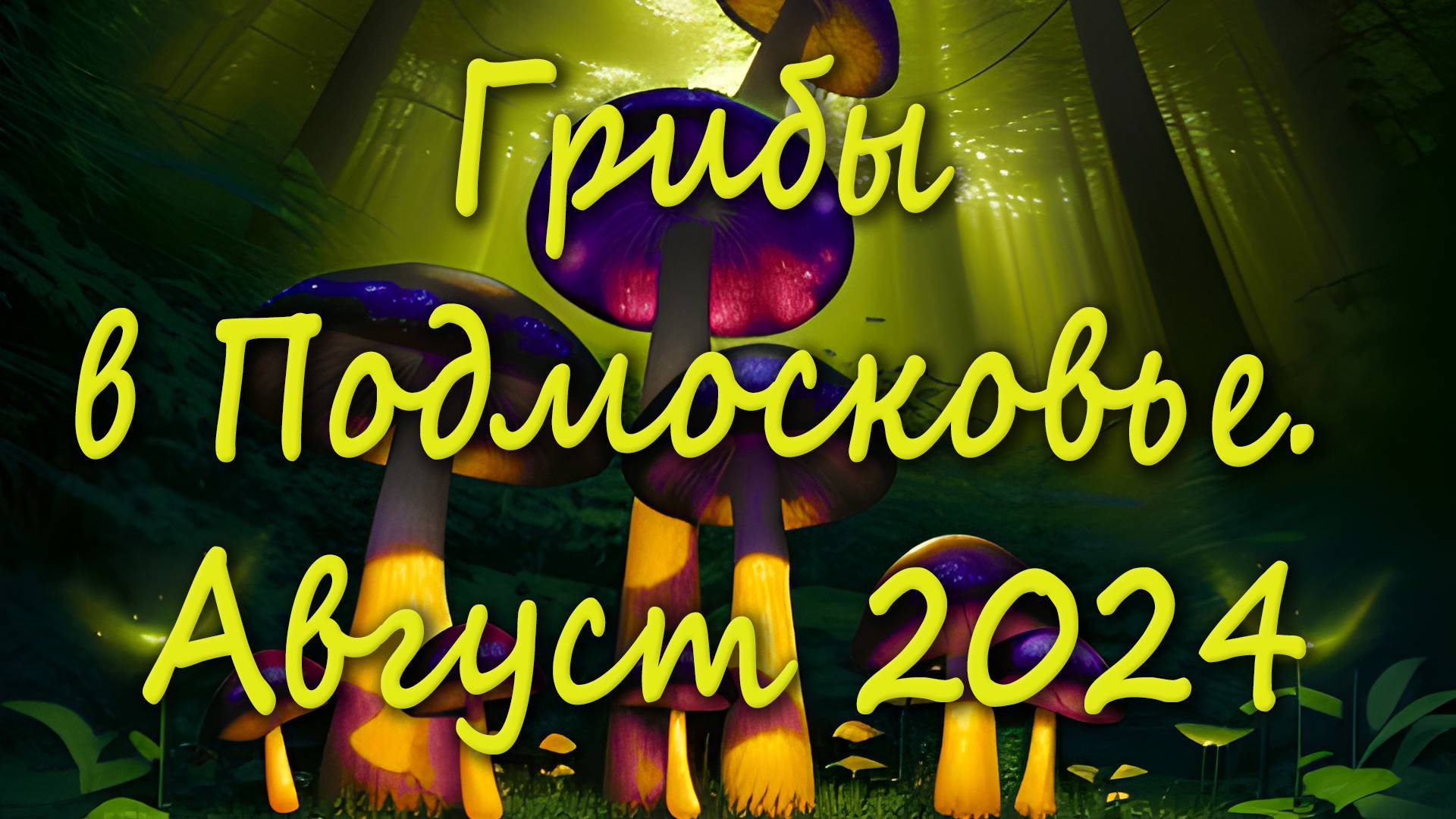 Поход по грибы 18 августа 2024 года смотреть онлайн