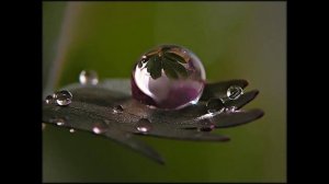 Песня на проводы в армию  "Солдатский вагон" - песня под гитару