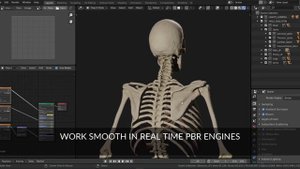 Skeleton 3d model (PBR)- Demo