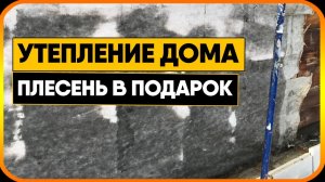 Утепление дома + ПЛЕСЕНЬ В ПОДАРОК. Как нельзя утеплять дом