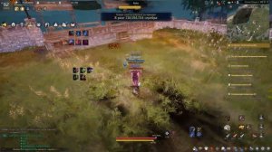 [Гильдия Одичалые] Black Desert - Куноичи - основные умения.