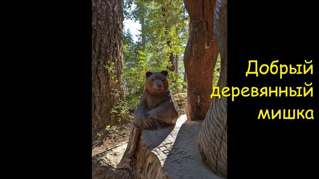Красный лес - Калифорния  США