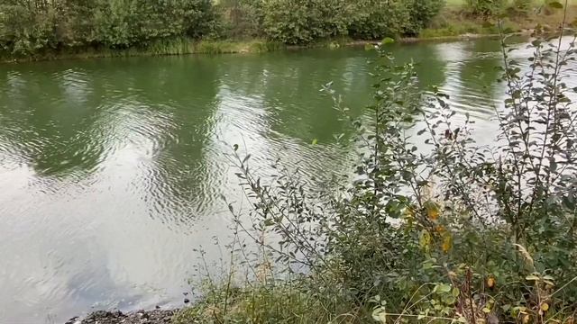 ВРЕДИНА ЗАКРОЙСЯ ЗА СТЕКЛОМ И ПРИВЛЕКАЙ ВНИМАНИЕ! VREDINA LIFE. смотреть онлайн